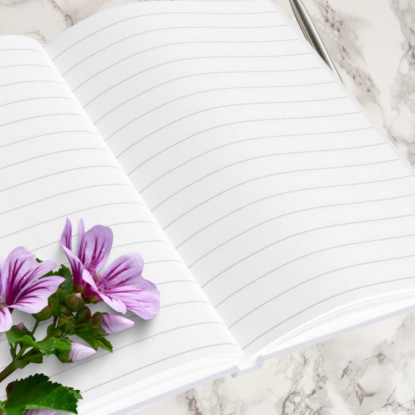 Planted In His Word Christian Journal