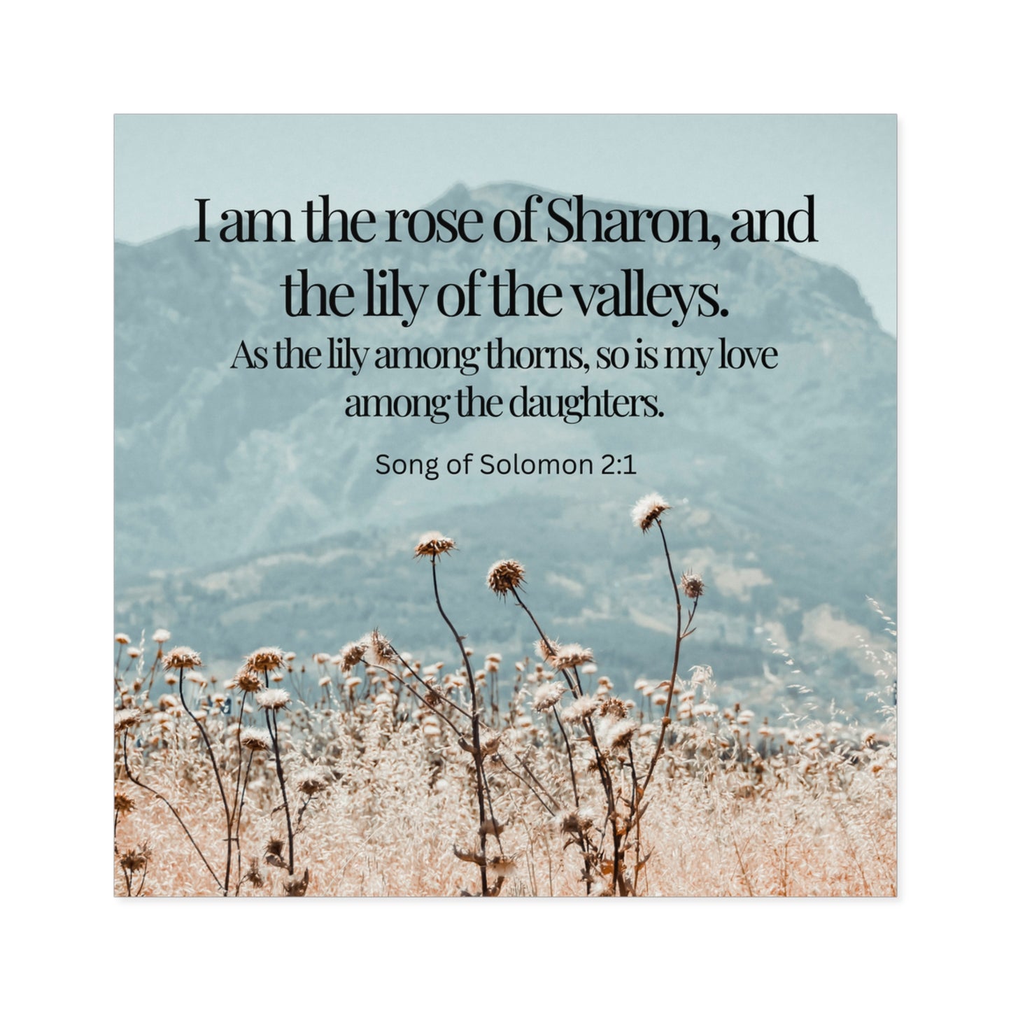 A Rose of Sharon Christian Devotional Sticker